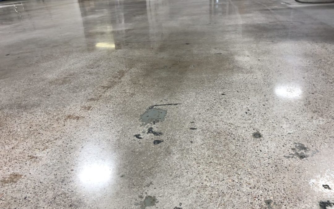 Cleaned & Re-Sealed Concrete Floors